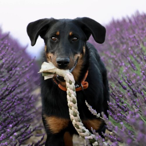 515245629_584918164412592_7398168303346448232_n