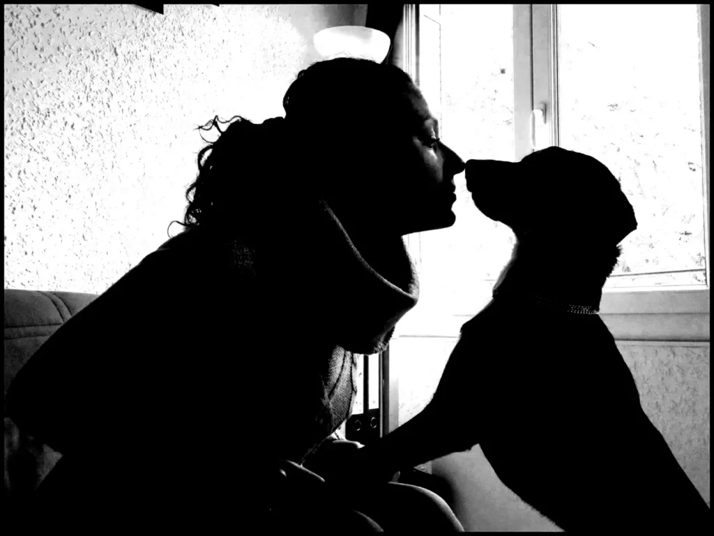 Photo à l'origine du logo de l'entreprise artisanale française Leenia, qui fabrique des accessoires pour chiens: jouets, colliers laisses, jeux de fouille...