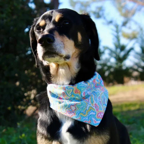 Chien noir et feu portant un bandana avec plein de pointillés colorés.
