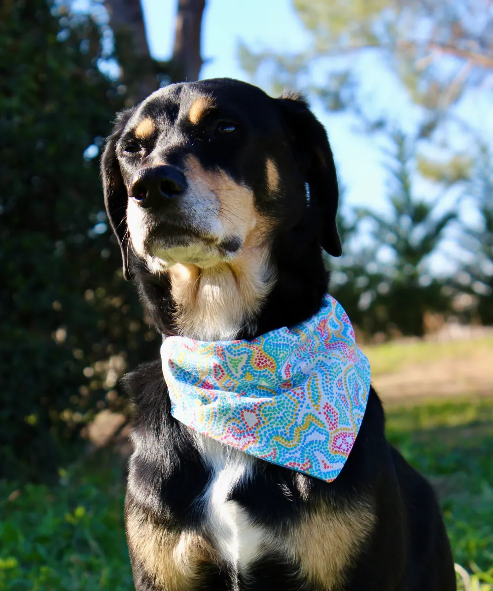 Chien noir et feu portant un bandana avec plein de pointillés colorés.