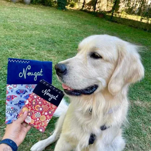 Pochette protège carnet de santé ou passeport de chien. Présentation des deux devant un golden retriever.