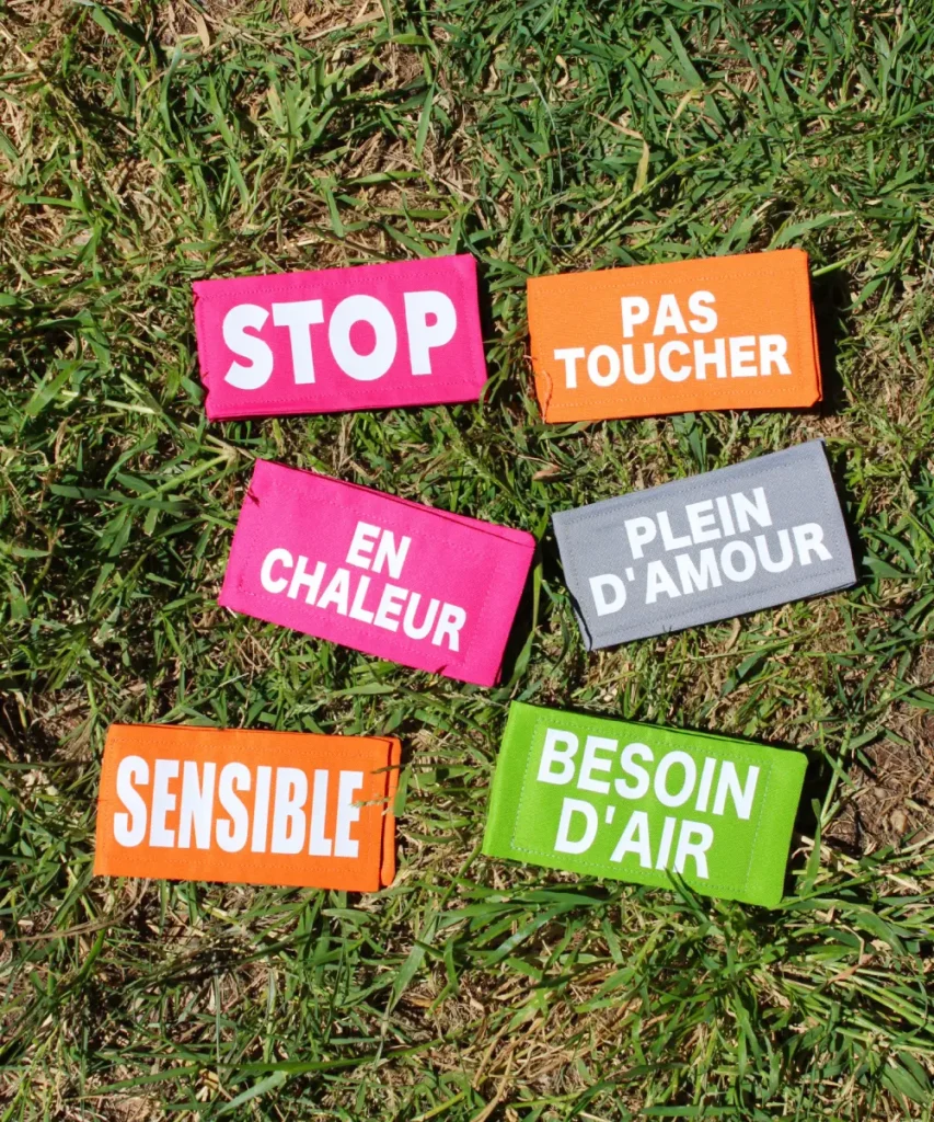 Ensemble de scratchs pour chiens de couleur avec des messages écrits. A fixer sur laisses, colliers ou harnais. Faits main en France.