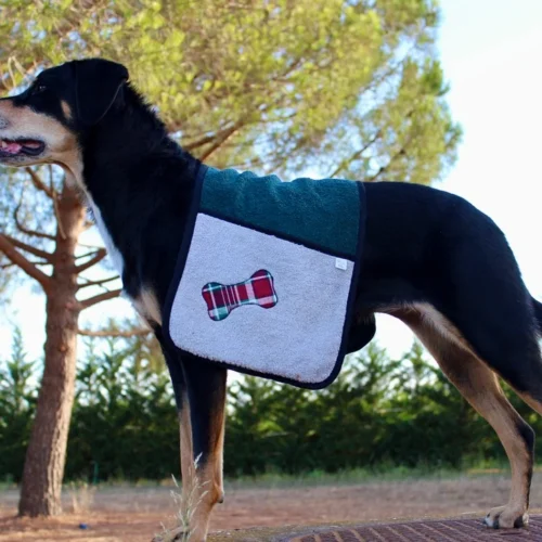 Chien noir et feu portant une serviette pour chien (sèche toutou) faite à la main par Leenia.