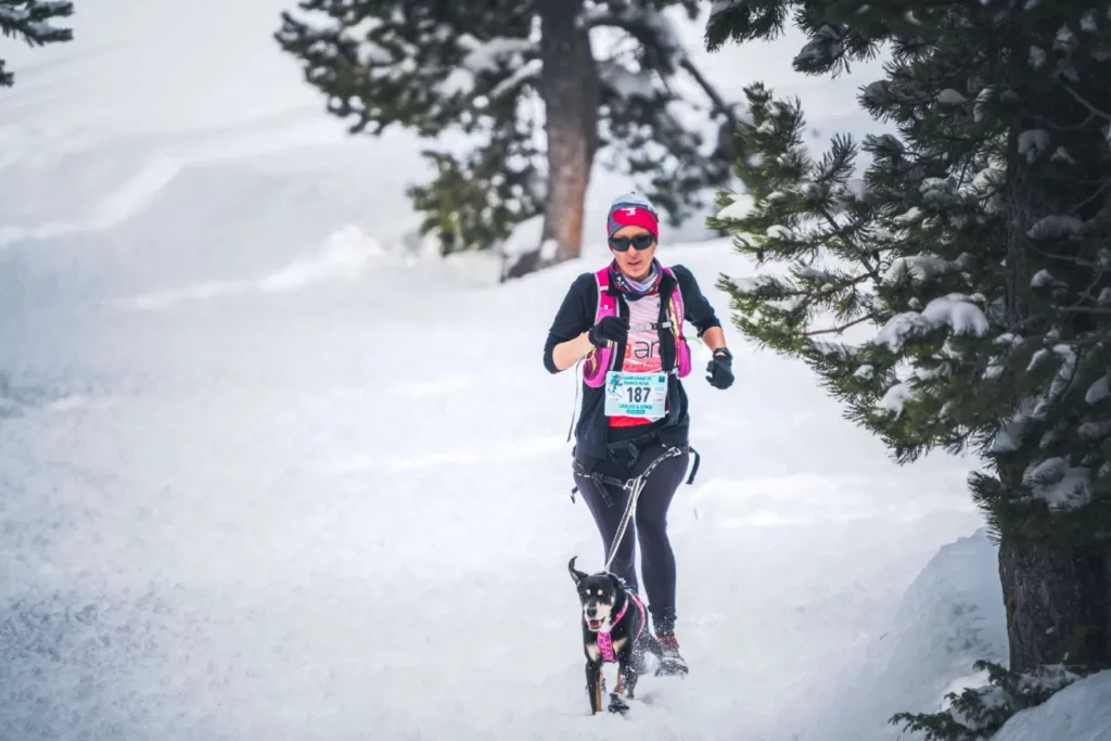 championnat de canicross sur neige deuxième jour arrivée des 7 km avec Leeloo