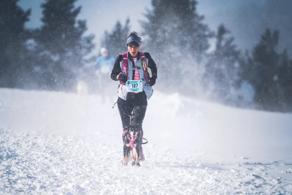 championnat de canicross sur neige première journée sous la tempête avec Leeloo