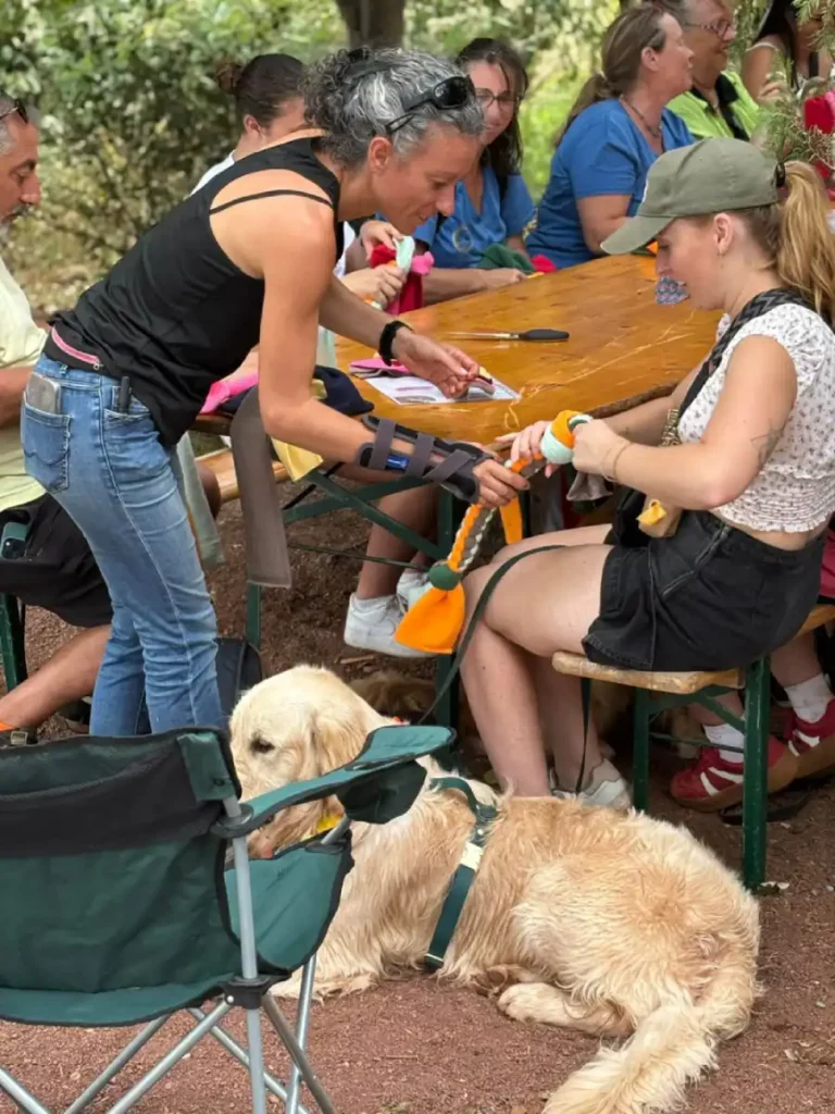 choix jouet ou collier chien sur stand conseils personnalisés