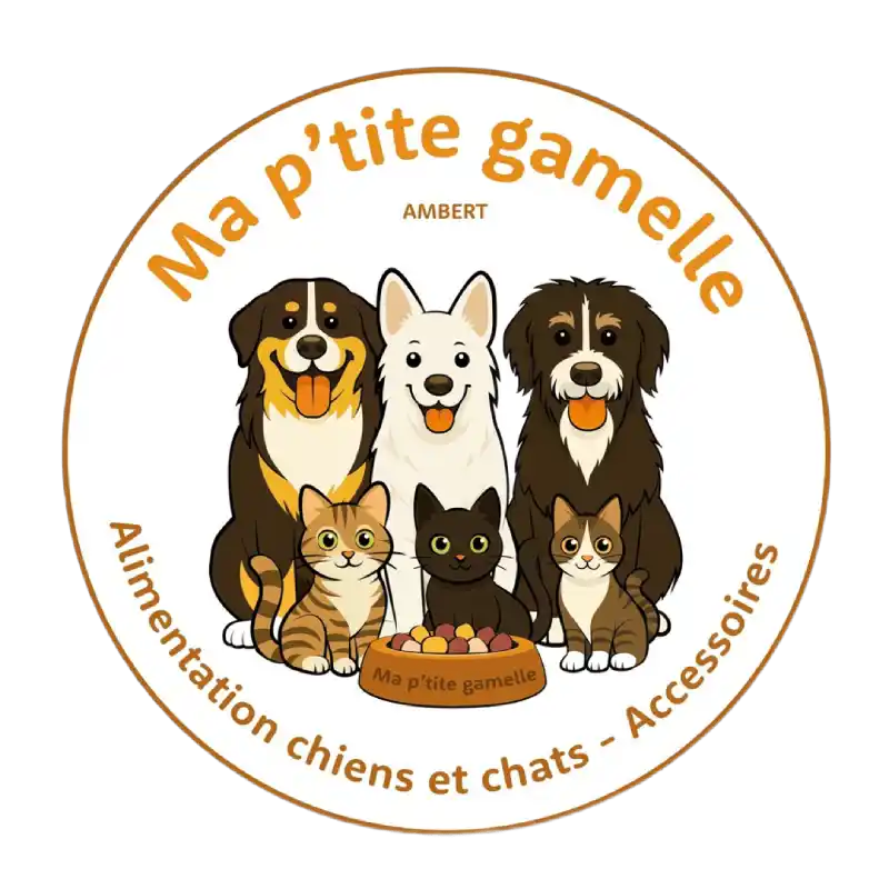 Boutique d'accessoires et jouets pour chiens
