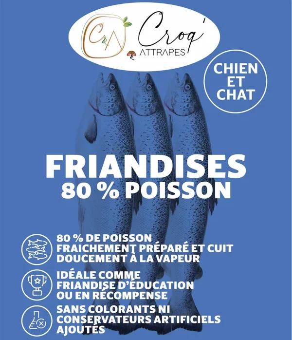 Friandises naturelles pour chien au poisson frais: saumon, poisson blanc et truite. Fabrication française par Croq & Attrapes.